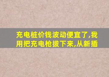 充电桩价钱波动便宜了,我用把充电枪拔下来,从新插