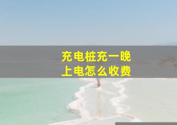 充电桩充一晚上电怎么收费