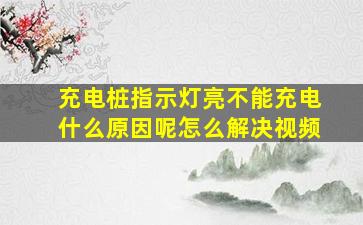 充电桩指示灯亮不能充电什么原因呢怎么解决视频