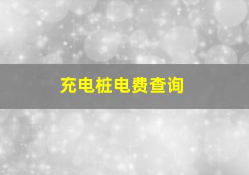 充电桩电费查询