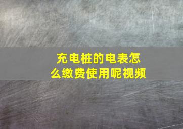 充电桩的电表怎么缴费使用呢视频