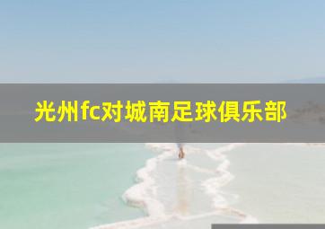 光州fc对城南足球俱乐部