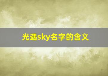 光遇sky名字的含义