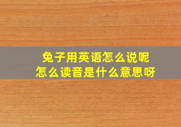 兔子用英语怎么说呢怎么读音是什么意思呀