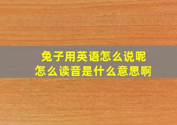 兔子用英语怎么说呢怎么读音是什么意思啊