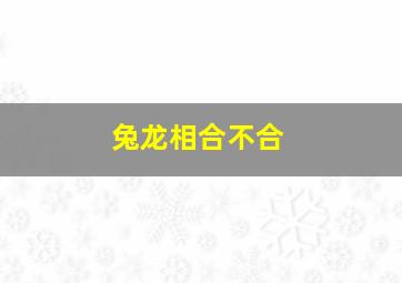 兔龙相合不合