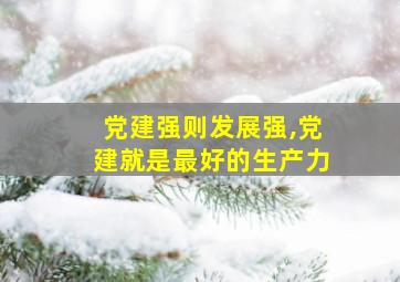 党建强则发展强,党建就是最好的生产力