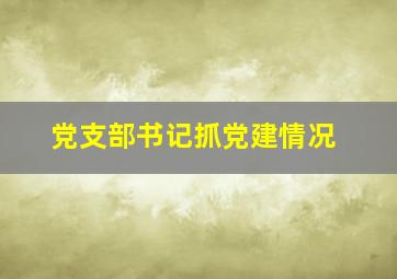 党支部书记抓党建情况