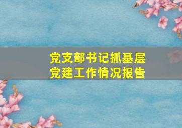 党支部书记抓基层党建工作情况报告