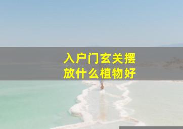 入户门玄关摆放什么植物好