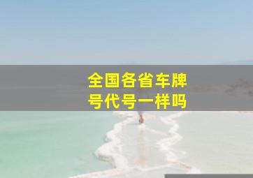 全国各省车牌号代号一样吗