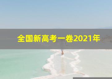 全国新高考一卷2021年