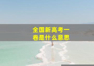 全国新高考一卷是什么意思