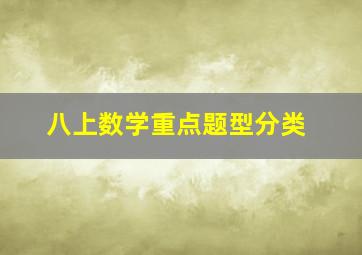 八上数学重点题型分类