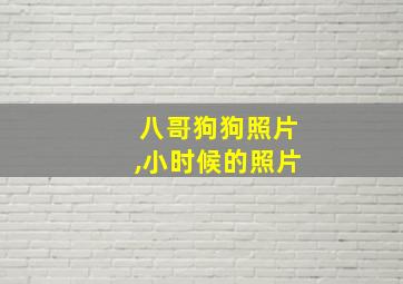 八哥狗狗照片,小时候的照片