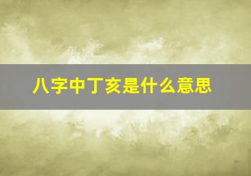 八字中丁亥是什么意思