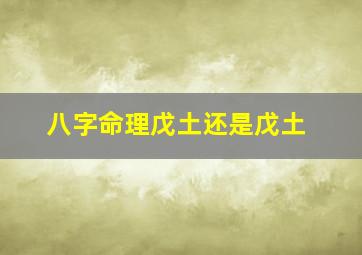 八字命理戊土还是戊土