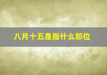 八月十五是指什么部位