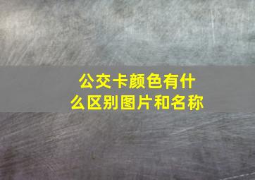 公交卡颜色有什么区别图片和名称