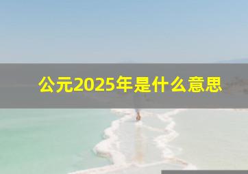 公元2025年是什么意思