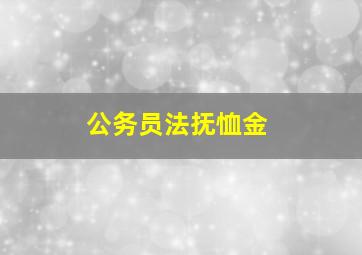 公务员法抚恤金