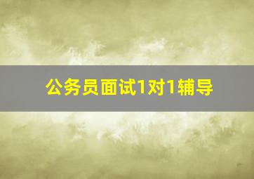 公务员面试1对1辅导