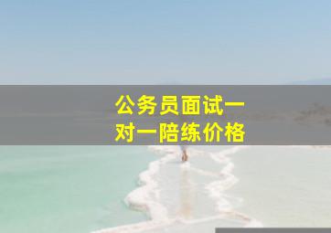 公务员面试一对一陪练价格