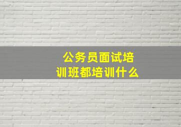 公务员面试培训班都培训什么