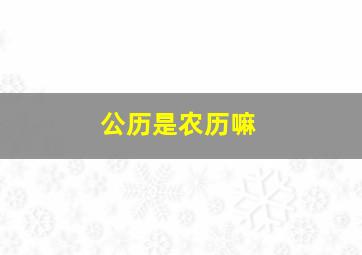 公历是农历嘛