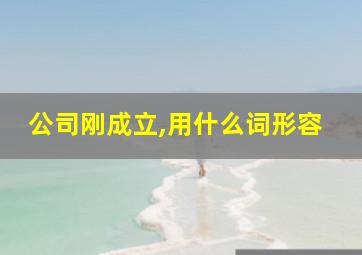 公司刚成立,用什么词形容