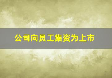 公司向员工集资为上市