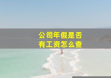 公司年假是否有工资怎么查