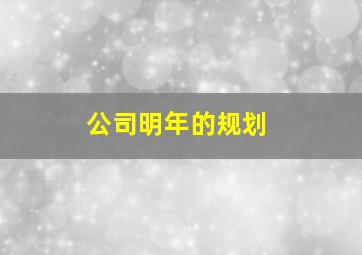 公司明年的规划