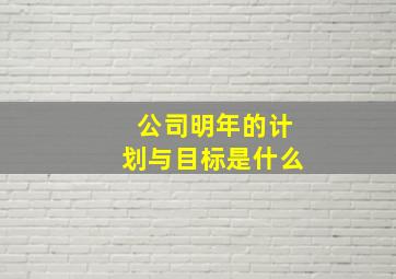 公司明年的计划与目标是什么