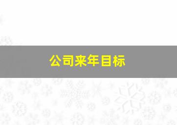 公司来年目标