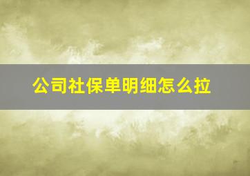 公司社保单明细怎么拉