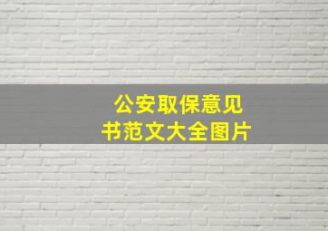 公安取保意见书范文大全图片