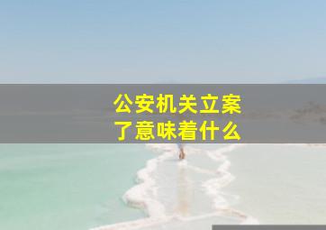 公安机关立案了意味着什么