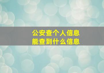 公安查个人信息能查到什么信息