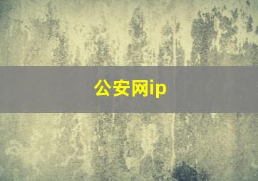 公安网ip