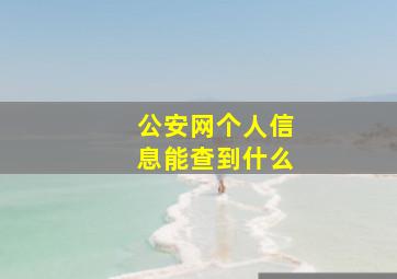 公安网个人信息能查到什么