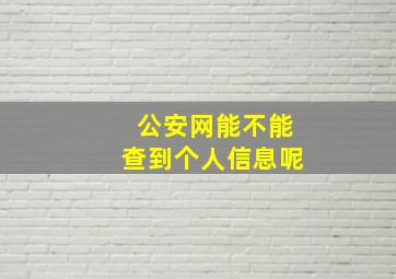 公安网能不能查到个人信息呢