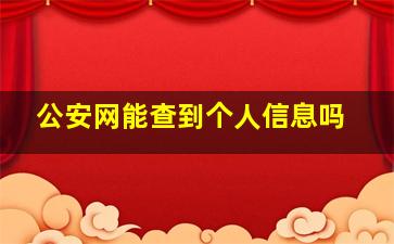 公安网能查到个人信息吗