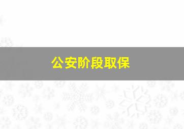 公安阶段取保