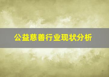 公益慈善行业现状分析