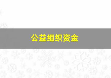 公益组织资金