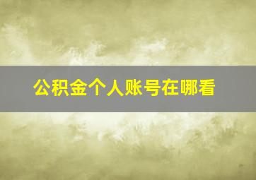 公积金个人账号在哪看