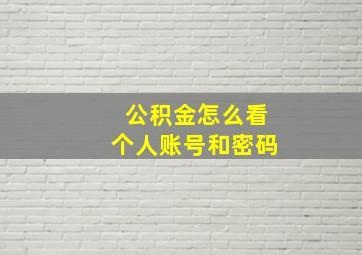 公积金怎么看个人账号和密码