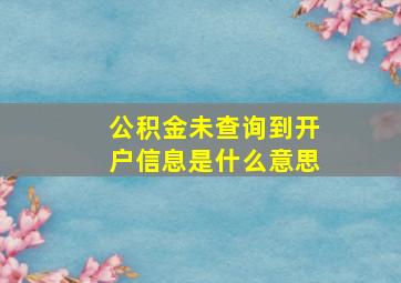 公积金未查询到开户信息是什么意思