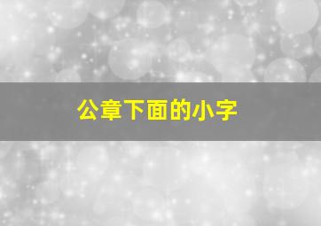 公章下面的小字